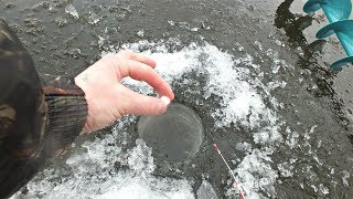 Зимние ароматизаторы которые рыба чувствует за километр! Лучшие зимние аттрактанты для рыбалки!
