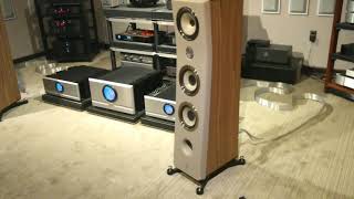 Focal Kanta Speakers at Quintessence Audio