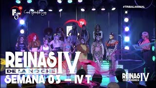 REINAS DE LA NOCHE T4 / CAP 03 - CANAL FARANDULA GAY