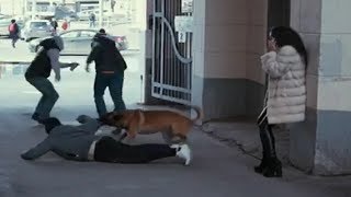 Собака спасла жизнь | Короткометражный фильм со смыслом.