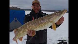 Pike, Trout and Whitefish.
