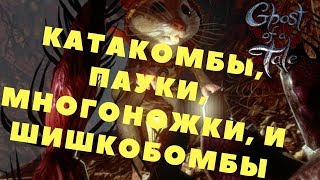 Ghost of a Tale - КАТАКОМБЫ, ПАУКИ, МНОГОНОЖКИ И ШИШКОБОМБЫ (Прохождение игры) #12