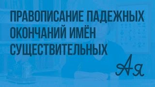 Правописание падежных окончаний имён существительных. Видеоурок  по русскому языку  4  класс
