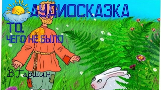 Аудиосказка То,чего не было, В.Гаршин