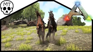 Taming and Breeding Equus! Ark Survival Evolved!