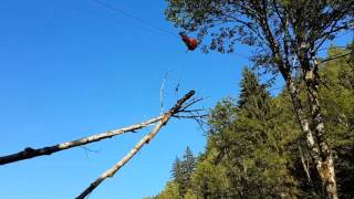 Seilkran / Cable Line System / Skyline logging / timber harvesting / TST tower yarder