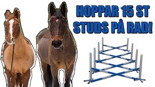 Challenge - VEM KAN HOPPA FLEST STUDS?