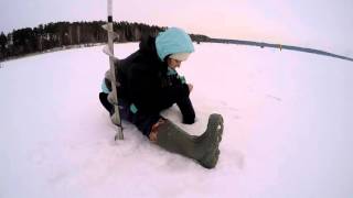 Серебряная мормышка 2016. 19 марта. г. Ижевск