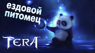 TERA online - Панда (ездовой питомец)