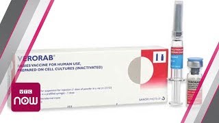 Chủ động vắc xin phòng dại trong dịp hè