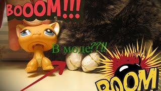 НЯШНЫЕ ЗАЙКИ ВЗОРВАЛИ ВСЁ??!!