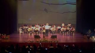 Orquestra de Viola Caipira Vale do Aço - CANARINHO PRISIONEIRO