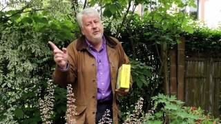 Mon jardin BIO - Comment éliminer les limaces au naturel