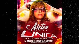ALETEO 2019 UNICA DISCPLAY DJ FRANCISCO EL ALTO VOLTAJE  & JABER ARTS??