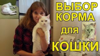 Заказ сухого корма для кошек, Обзор кошачьих кормов, Советы кошатника
