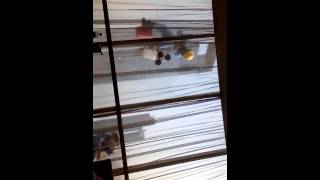 Вот как моют окна в небоскребах