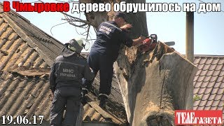 Дерево обрушилось на дом в Чмыровке. 19 июня 2017 г.