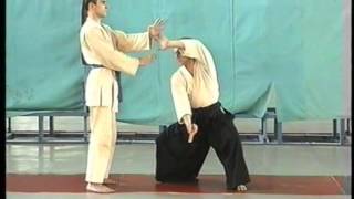 Кодокан син рю дзю-дзюцу 1. Часть 22
