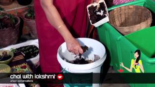 How to Vermi-Compost in your Apartment