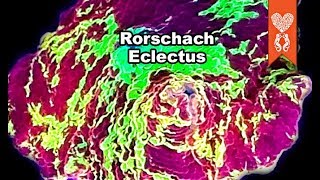 New Eclectus Mushroom ... Philly Splash a new local show and a great place to find awesome corals