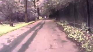 Электросамокат в Ботаническом саду