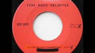 Living Funk - Silver Black Summer Day