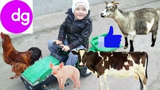 ЖИВОТНЫЕ ДЛЯ ДЕТЕЙ В ДЕРЕВНЕ. ТРАКТОР НА ФЕРМЕ.Animals FOR KIDS on the farmTRACTOR one the FARM