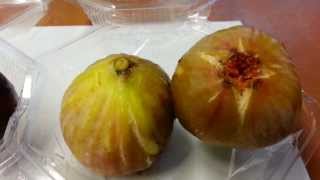 無花果、いちぢく、Ｆｉｇ．加藤農園、市川市,Chiba,JAPAN.
