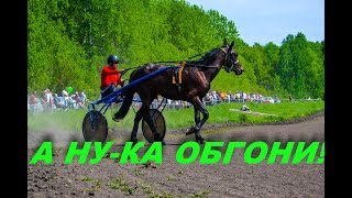 Конные бега в нашем селе.
