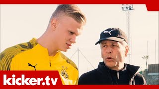 Favre lobt seinen neuen Super-Stürmer - "Haaland gibt immer Vollgas" | kicker.tv