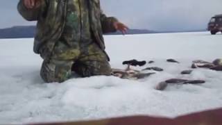 рыбалка  УСТЬ-ИЛИМСКОЕ  ВОДОХРОНИЛИЩЕ
