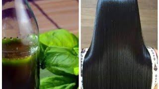 زيت الجرجير للشعر اعمليه في البيت