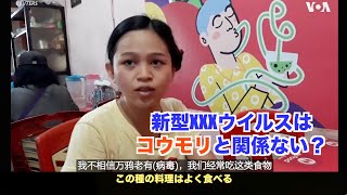 インドネシアではコウモリを普通に食べている？新型XXXウイルスはコウモリとは関係ない？（VOA)