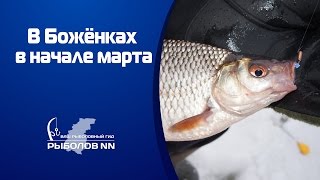 Ловля плотвы и окуня на безнасадочные мормышки в марте
