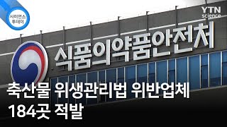 축산물 위생관리법 위반업체 184곳 적발 / YTN 사이언스