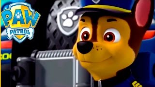 Paw Patrol Academy Game /Paw Patrol Cartoon English - Paw Patrol full Episodes HD