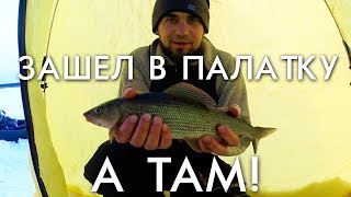 ЗАШЕЛ В ПАЛАТКУ А ТАМ! / РЫБАЛКА НА СИГА И ХАРИУСА / ВЕСНА 2019