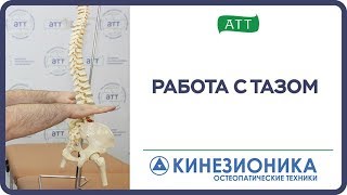 Мануальная терапия Работа с тазом.  Кинезионика