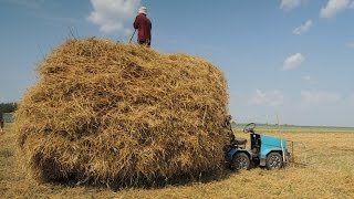 Мини трактор переломка. волокуша. солома