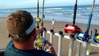 Pro Monster shark fishing at its best!!!