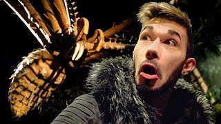 UNE ARAIGNÉE GÉANTE ! (VLOG NEW YORK #3)