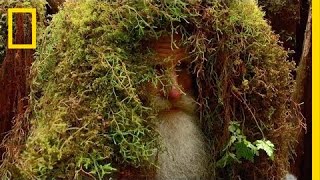 Alien Invasion | The Legend of Mick Dodge