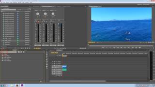 Изменить голос в Adobe Premiere Pro cs6