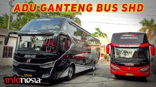 ADU GANTENG! 10 Varian Bus SHD Double Glass di Indonesia