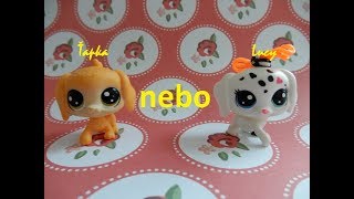 Tag To nebo To #1