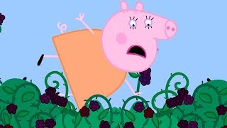 Świnka Peppa 2020 ? Peppa po Polsku najlepsze odcinki | NA ŻYWO