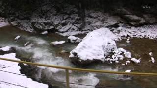 Запоздалое обещание (Гуамское ущелье)