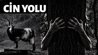 Cin Yolu - Korku Hikayeleri [ Takipçi Hikayeleri ]