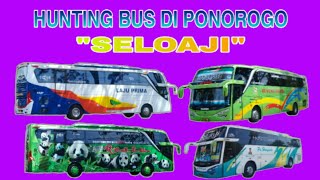 Hunting Bus di Ponorogo Terminal Seloaji