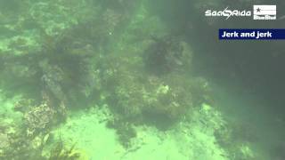 Metaljig Revolution! Shore jigging [SeaRide] by BlueBlue